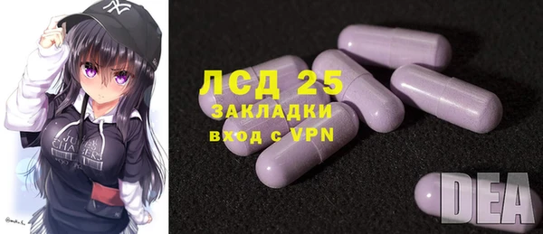 индика Вязники