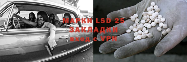 индика Вязники