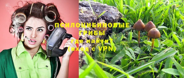 не бодяженный Вяземский