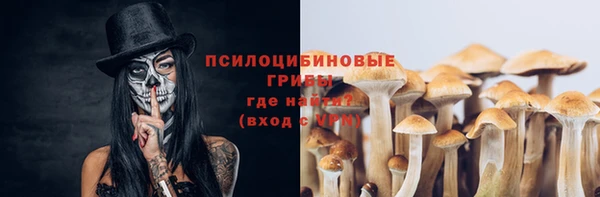 индика Вязники