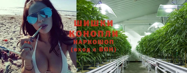 индика Вязники