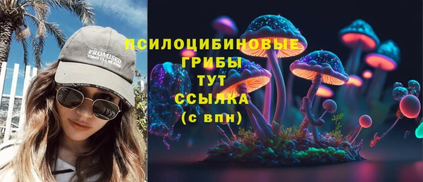 индика Вязники