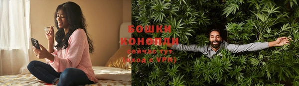индика Вязники