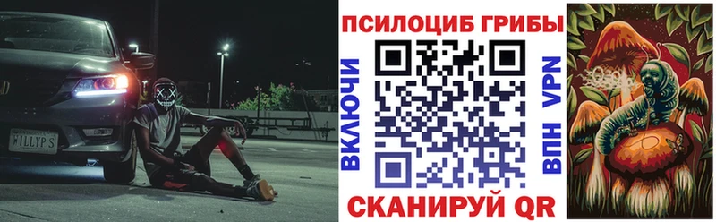 Псилоцибиновые грибы MAGIC MUSHROOMS цены Муром