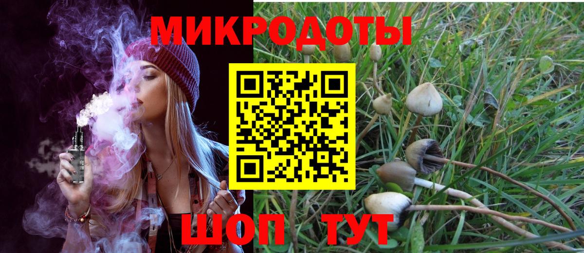 ГАШ Муром